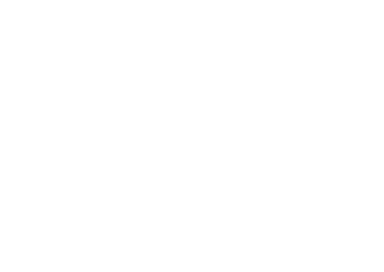 FLY Logo